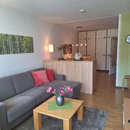 Harzgefuehl Apartment